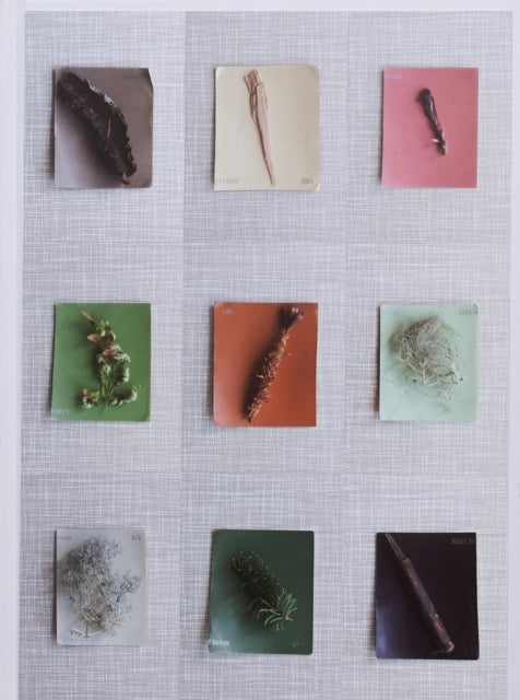 Book cover of: Late Spring