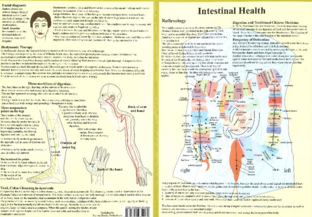 Book cover of: Intestinal Health -- Double Sided A4