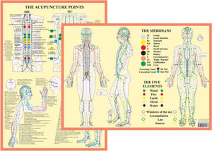 Meridians and 5 Elements