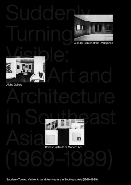 Book cover of: Suddenly Turning Visible. By: Shabbir Hussain Mustafa