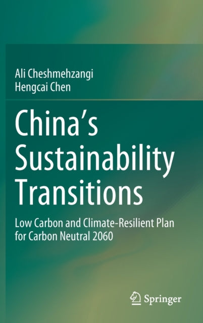 Book cover of: China's Sustainability Transitions. By: Ali Cheshmehzangi