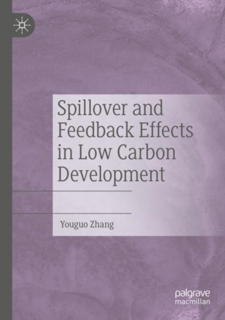 Book cover of: Spillover and Feedback Effects in Low Carbon Development. By: Youguo Zhang