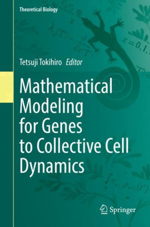 Mathematical Modeling for Genes to Collective Cell Dynamics