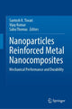 Book cover of: Nanoparticles Reinforced Metal Nanocomposites. By: Santosh K. Tiwari