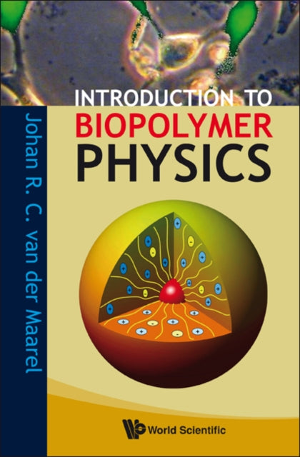 Book cover of: Introduction To Biopolymer Physics. By: Johan R. C. van der Maarel