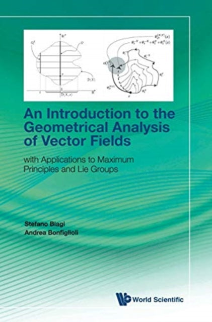 Introduction To The Geometrical Analysis Of Vector Fields, An