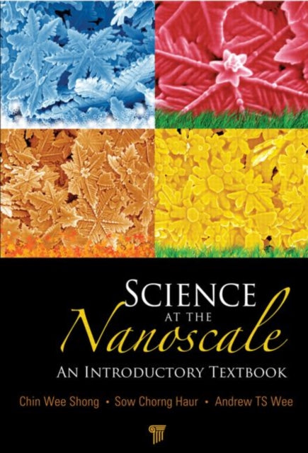 Book cover of: Science at the Nanoscale. By: Wee Shong Chin