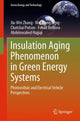 Book cover of: Insulation Aging Phenomenon in Green Energy Systems. By: Jia-Wei Zhang