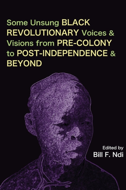 Book cover of: Some Unsung Black Revolutionary Voices and Visions from Pre-Colony to Post-Independence and Beyond