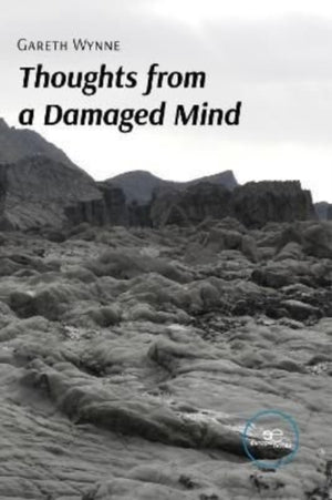 Thoughts from a Damaged Mind