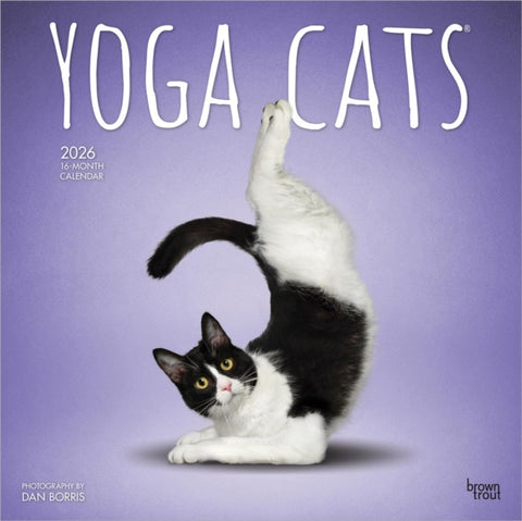 Yoga Cats 2026 Square Flap Calendar