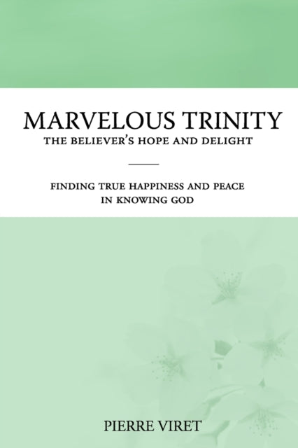 Marvelous Trinity, the Believer's Hope and Delight