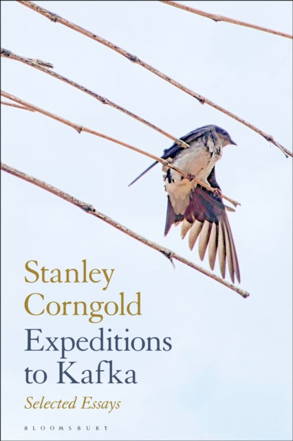 Expeditions to Kafka