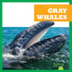 Book cover of: Gray Whales. By: Leahy