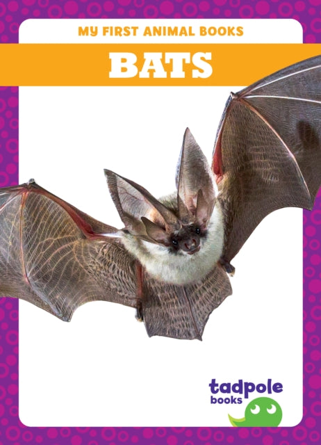 Book cover of: Bats. By: Anthony