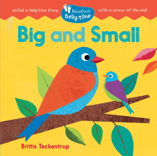 Book cover of: Barefoot Belly Time: Big and Small
