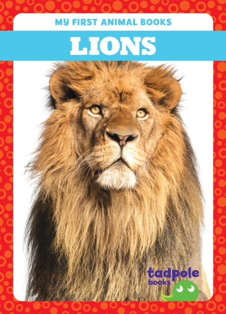 Book cover of: Lions. By: Deniston