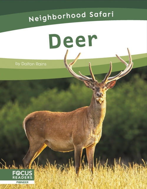 Book cover of: Deer. By: Dalton Rains