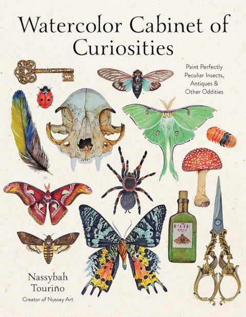 Watercolor Cabinet of Curiosities