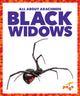 Book cover of: Black Widows. By: Chanez