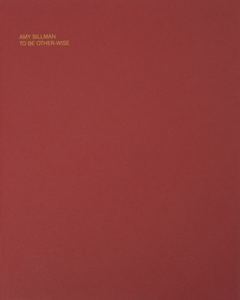 Amy Sillman: To Be Other-Wise