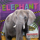 Book cover of: Elephant. By: E. C. Andrews