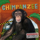 Book cover of: Chimpanzee